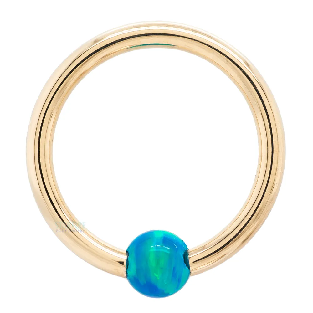 Captive Bead Ring (CBR) in Gold with Dark Blue Opal Captive Bead